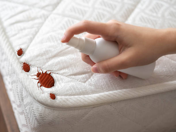 Best Real Estate Pest Inspections  in Newark, DE